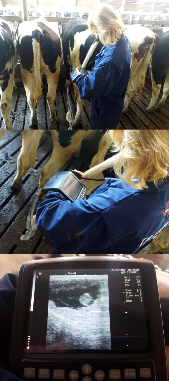 Polsgedragen mobiele scanner BW560V